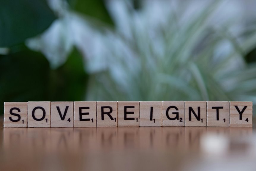 preamble s meaning and objectives