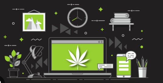 Elevating Cannabis Brands with a Powerful Dispensary Marketing Agency Strategy