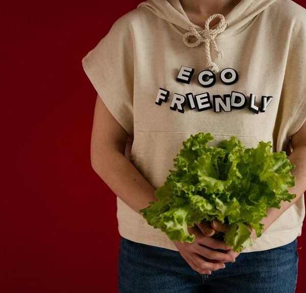 sustainable eco fashion contact numbers