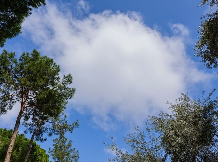 cloud services expansion insights